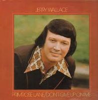 Jerry Wallace - Primrose Lane - Don't Give Up On Me